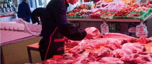 市场批发速冻猪肉那么便宜 中国为啥还要从国外进口种猪,冷冻肉